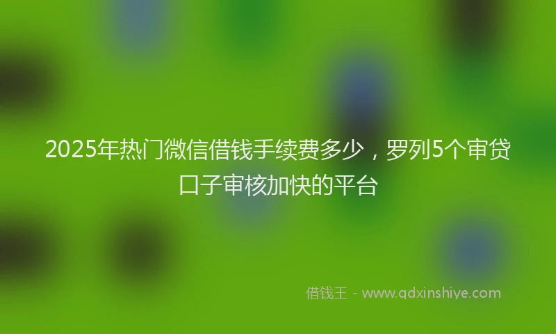 2025年热门微信借钱手续费多少，罗列5个审贷口子审核加快的平台