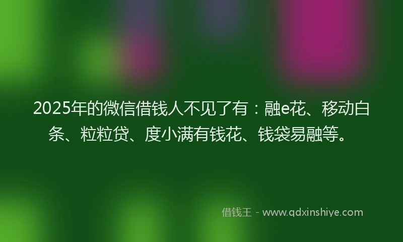 2025年的微信借钱人不见了有：融e花、移动白条、粒粒贷、度小满有钱花、钱袋易融等。