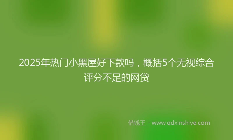 2025年热门小黑屋好下款吗，概括5个无视综合评分不足的网贷