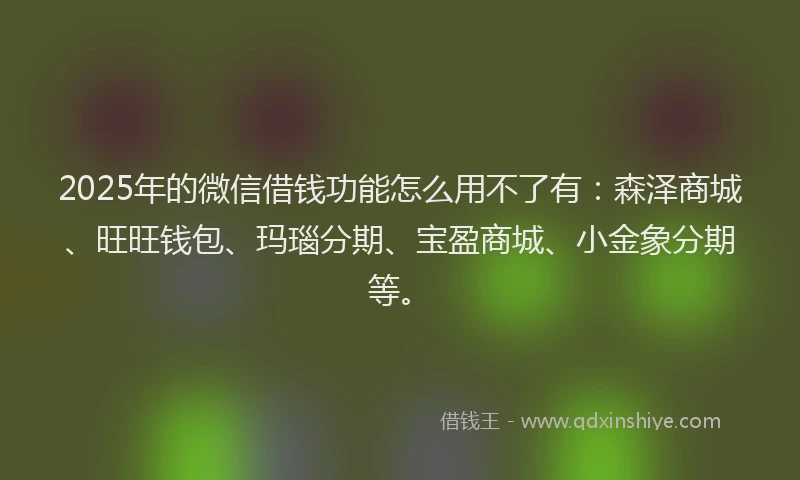 2025年的微信借钱功能怎么用不了有：森泽商城、旺旺钱包、玛瑙分期、宝盈商城、小金象分期等。