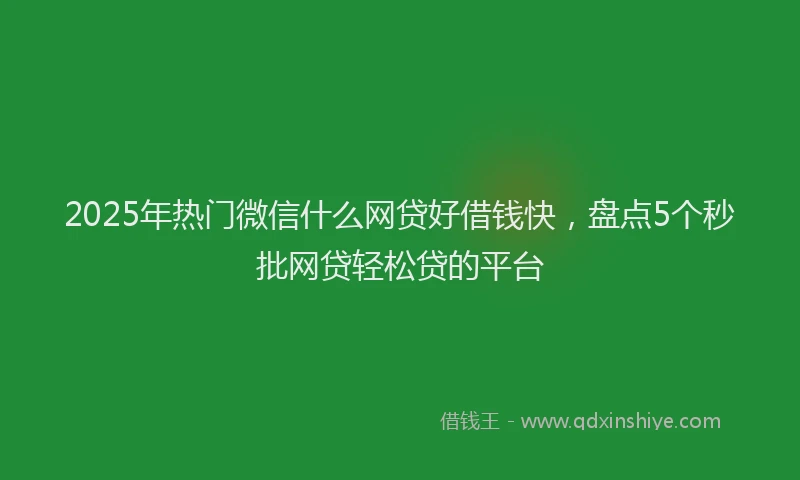 2025年热门微信什么网贷好借钱快，盘点5个秒批网贷轻松贷的平台