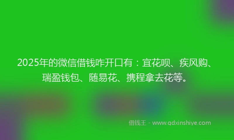 2025年的微信借钱咋开口有:宜花呗、疾风购、瑞盈钱包、随易花、携程拿去花等。