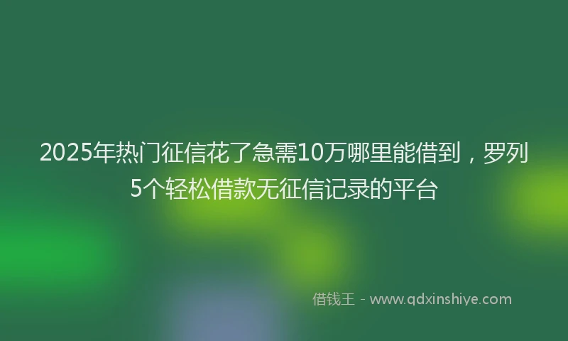 2025年热门征信花了急需10万哪里能借到，罗列5个轻松借款无征信记录的平台