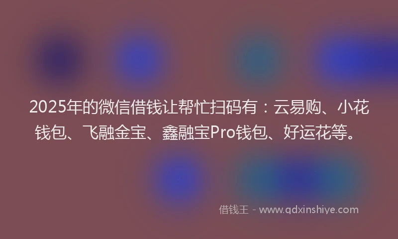 2025年的微信借钱让帮忙扫码有：云易购、小花钱包、飞融金宝、鑫融宝Pro钱包、好运花等。