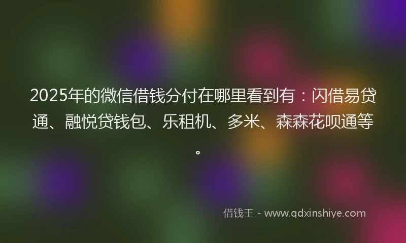 2025年的微信借钱分付在哪里看到有：闪借易贷通、融悦贷钱包、乐租机、多米、森森花呗通等。