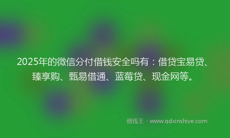 2025年的微信分付借钱安全吗有：借贷宝易贷、臻享购、甄易借通、蓝莓贷、现金网等。
