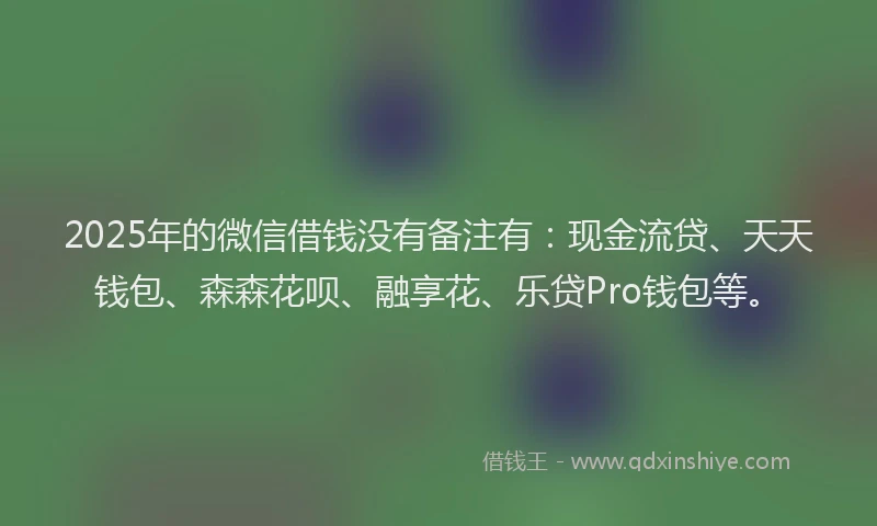 2025年的微信借钱没有备注有：现金流贷、天天钱包、森森花呗、融享花、乐贷Pro钱包等。