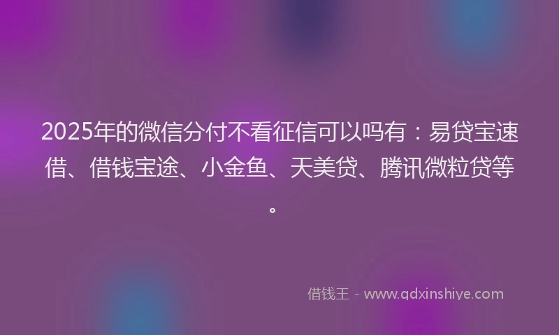 2025年的微信分付不看征信可以吗有：易贷宝速借、借钱宝途、小金鱼、天美贷、腾讯微粒贷等。