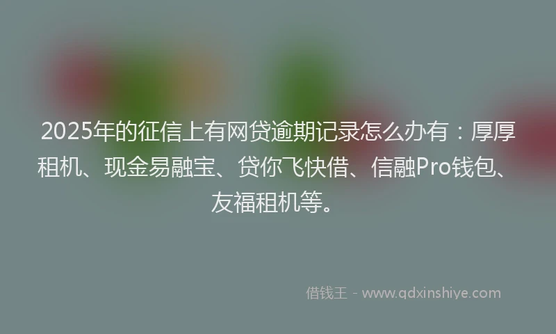 2025年的征信上有网贷逾期记录怎么办有：厚厚租机、现金易融宝、贷你飞快借、信融Pro钱包、友福租机等。