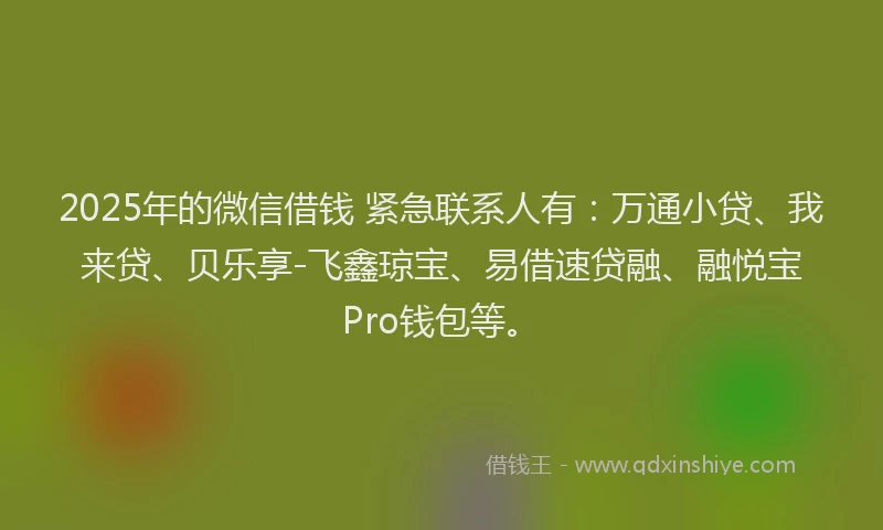 2025年的微信借钱 紧急联系人有：万通小贷、我来贷、贝乐享-飞鑫琼宝、易借速贷融、融悦宝Pro钱包等。