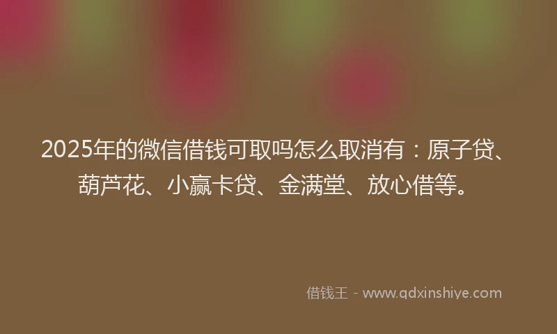 2025年的微信借钱可取吗怎么取消有：原子贷、葫芦花、小赢卡贷、金满堂、放心借等。