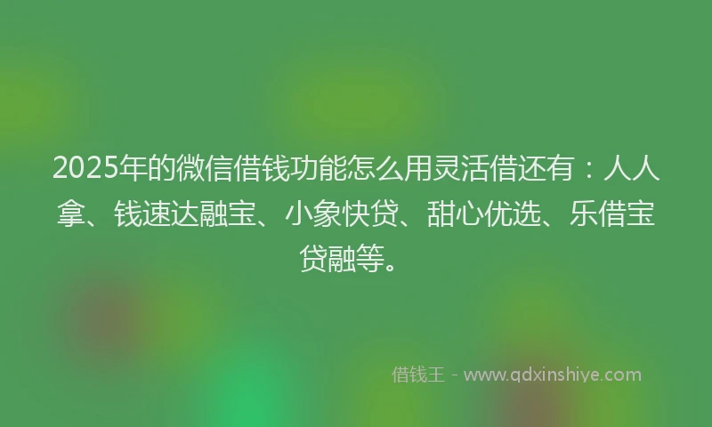 2025年的微信借钱功能怎么用灵活借还有：人人拿、钱速达融宝、小象快贷、甜心优选、乐借宝贷融等。