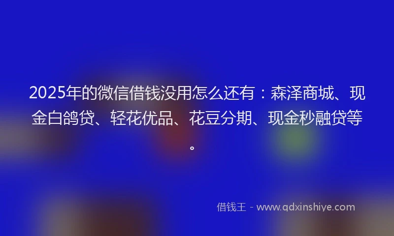 2025年的微信借钱没用怎么还有：森泽商城、现金白鸽贷、轻花优品、花豆分期、现金秒融贷等。