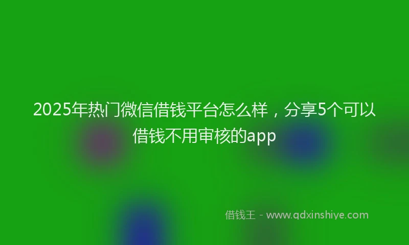 2025年热门微信借钱平台怎么样，分享5个可以借钱不用审核的app