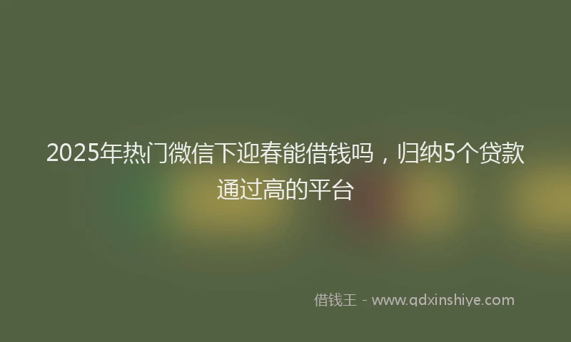2025年热门微信下迎春能借钱吗，归纳5个贷款通过高的平台