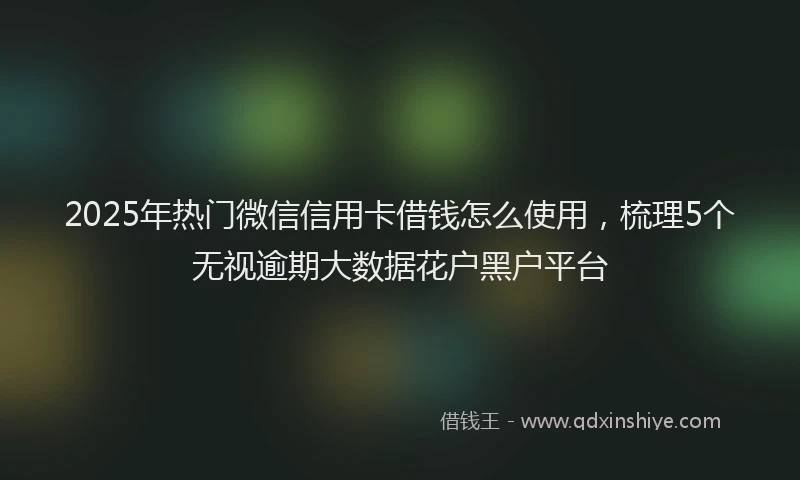 2025年热门微信信用卡借钱怎么使用，梳理5个无视逾期大数据花户黑户平台