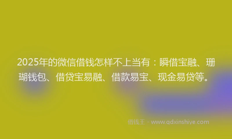 2025年的微信借钱怎样不上当有:瞬借宝融、珊瑚钱包、借贷宝易融、借款易宝、现金易贷等。