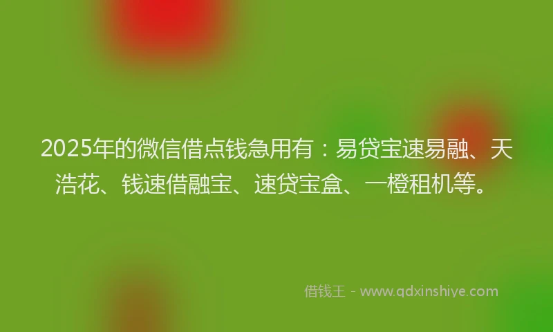 2025年的微信借点钱急用有：易贷宝速易融、天浩花、钱速借融宝、速贷宝盒、一橙租机等。