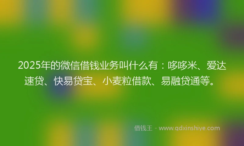2025年的微信借钱业务叫什么有：哆哆米、爱达速贷、快易贷宝、小麦粒借款、易融贷通等。
