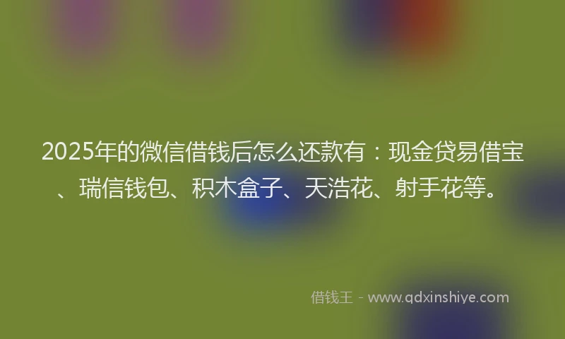2025年的微信借钱后怎么还款有：现金贷易借宝、瑞信钱包、积木盒子、天浩花、射手花等。
