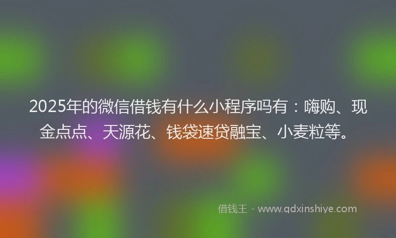 2025年的微信借钱有什么小程序吗有：嗨购、现金点点、天源花、钱袋速贷融宝、小麦粒等。