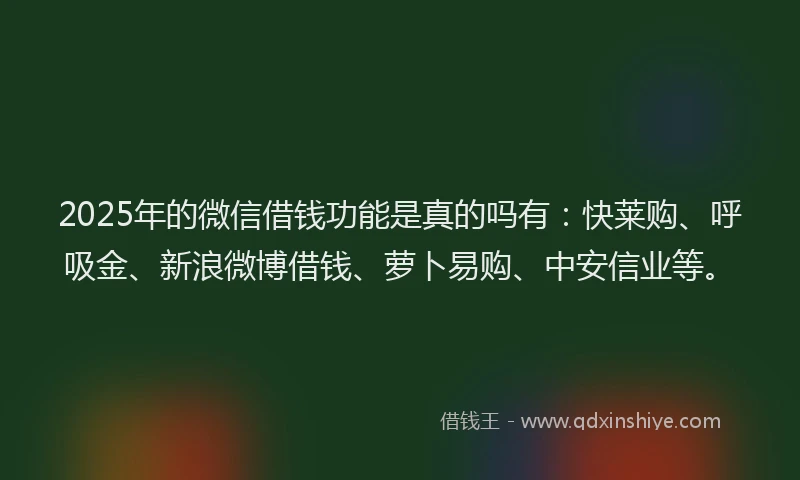 2025年的微信借钱功能是真的吗有：快莱购、呼吸金、新浪微博借钱、萝卜易购、中安信业等。