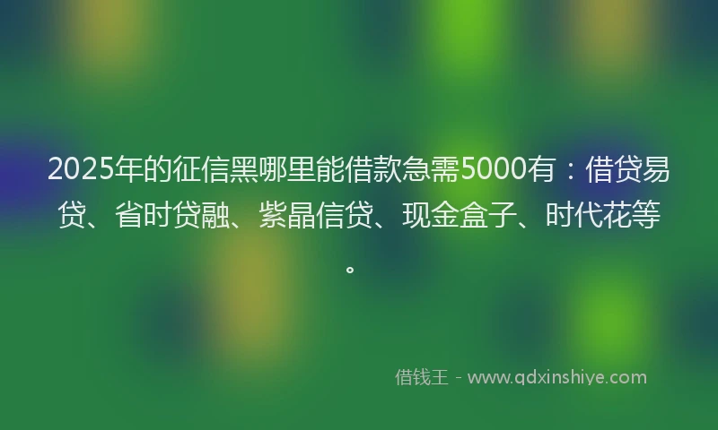 2025年的征信黑哪里能借款急需5000有：借贷易贷、省时贷融、紫晶信贷、现金盒子、时代花等。