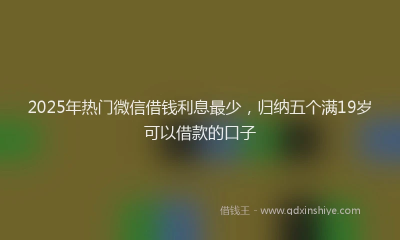 2025年热门微信借钱利息最少，归纳五个满19岁可以借款的口子