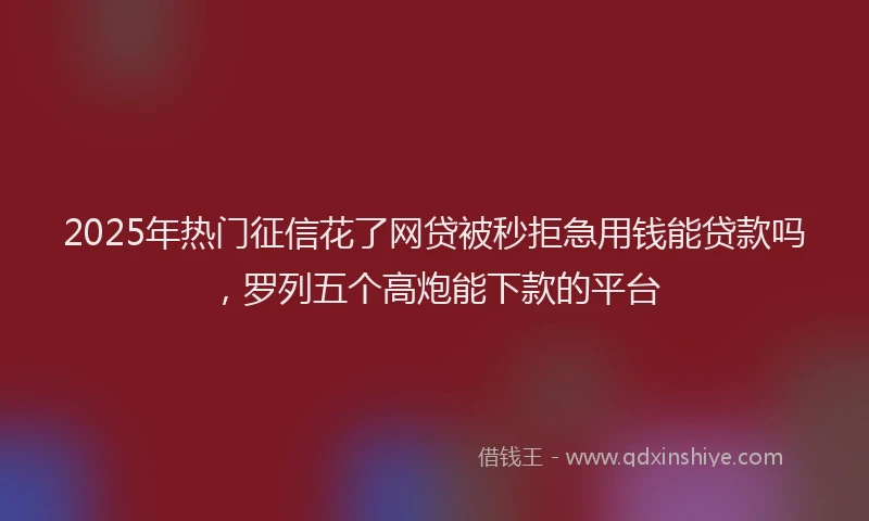 2025年热门征信花了网贷被秒拒急用钱能贷款吗，罗列五个高炮能下款的平台