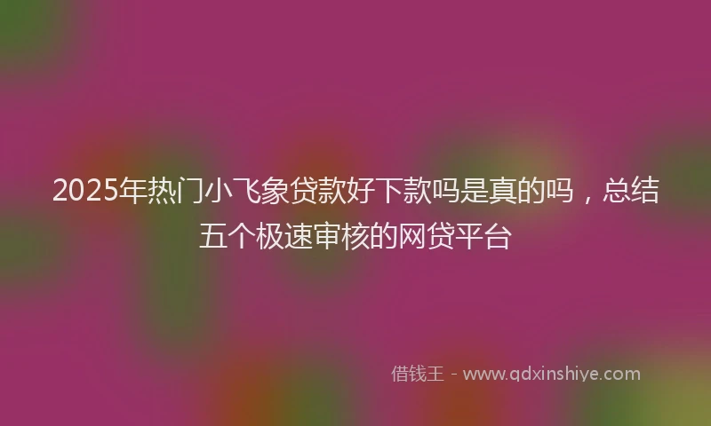 2025年热门小飞象贷款好下款吗是真的吗，总结五个极速审核的网贷平台