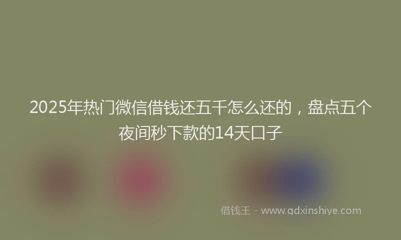 2025年热门微信借钱还五千怎么还的，盘点五个夜间秒下款的14天口子