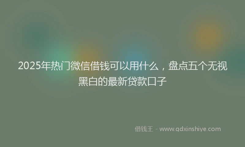 2025年热门微信借钱可以用什么,盘点五个无视黑白的最新贷款口子