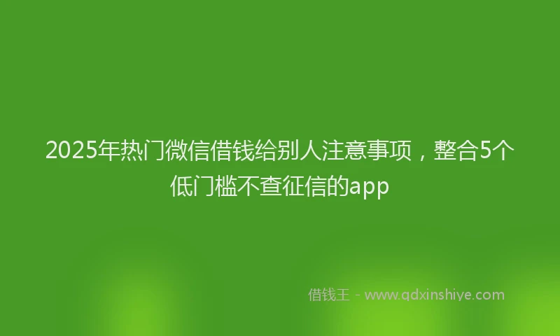 2025年热门微信借钱给别人注意事项，整合5个低门槛不查征信的app