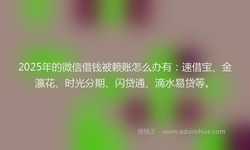 2025年的微信借钱被赖账怎么办有：速借宝、金瀛花、时光分期、闪贷通、滴水易贷等。
