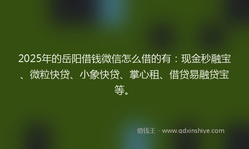2025年的岳阳借钱微信怎么借的有:现金秒融宝、微粒快贷、小象快贷、掌心租、借贷易融贷宝等。
