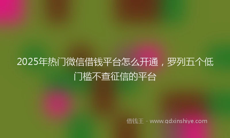 2025年热门微信借钱平台怎么开通，罗列五个低门槛不查征信的平台