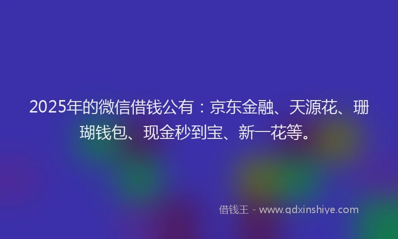 2025年的微信借钱公有：京东金融、天源花、珊瑚钱包、现金秒到宝、新一花等。
