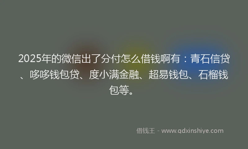 2025年的微信出了分付怎么借钱啊有：青石信贷、哆哆钱包贷、度小满金融、超易钱包、石榴钱包等。