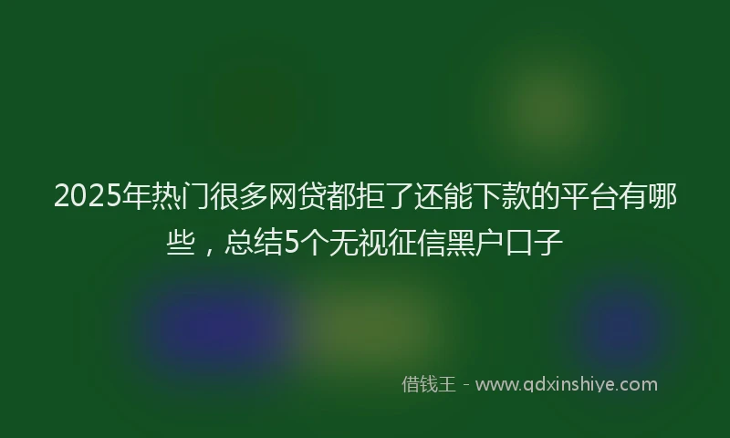 2025年热门很多网贷都拒了还能下款的平台有哪些，总结5个无视征信黑户口子