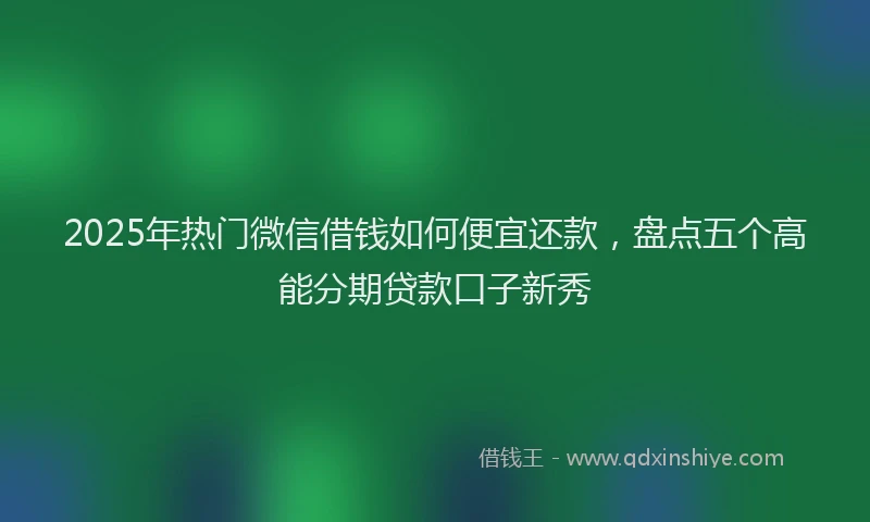 2025年热门微信借钱如何便宜还款，盘点五个高能分期贷款口子新秀