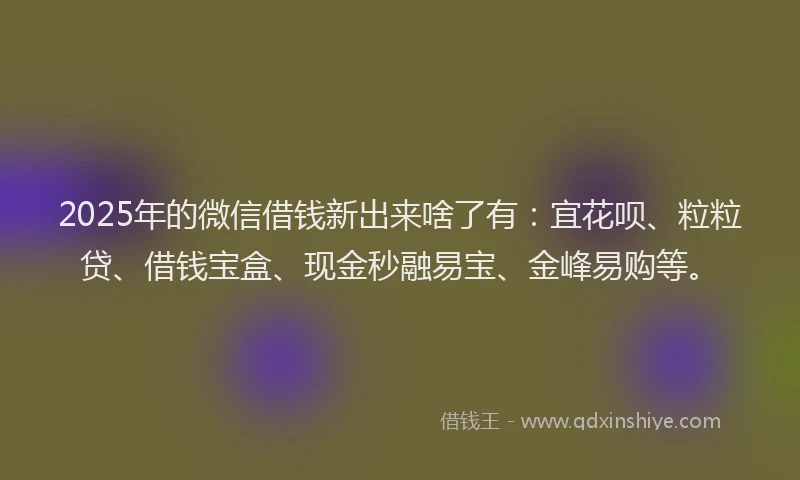 2025年的微信借钱新出来啥了有：宜花呗、粒粒贷、借钱宝盒、现金秒融易宝、金峰易购等。