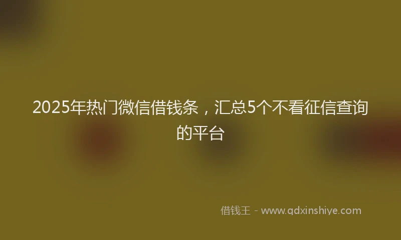 2025年热门微信借钱条，汇总5个不看征信查询的平台