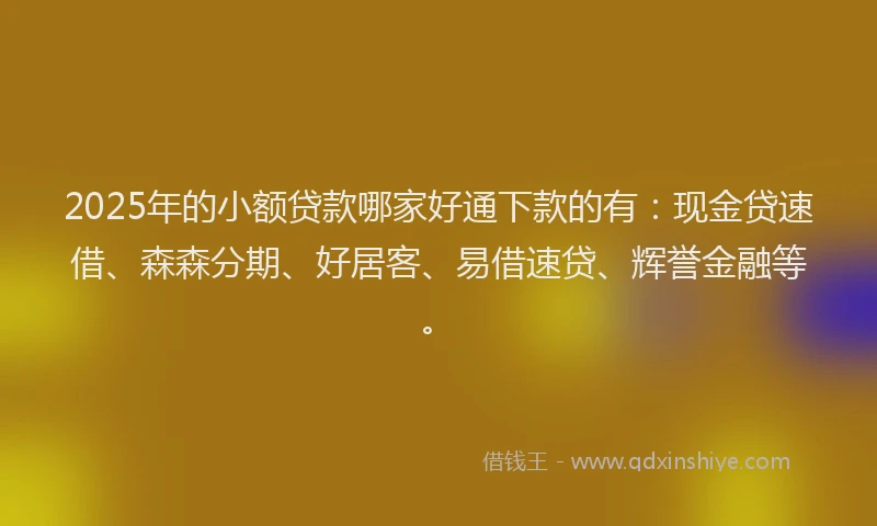 2025年的小额贷款哪家好通下款的有：现金贷速借、森森分期、好居客、易借速贷、辉誉金融等。