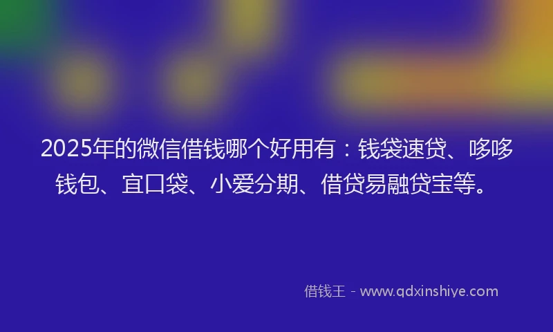 2025年的微信借钱哪个好用有：钱袋速贷、哆哆钱包、宜口袋、小爱分期、借贷易融贷宝等。