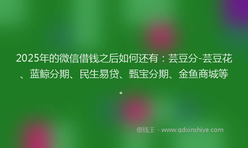 2025年的微信借钱之后如何还有：芸豆分-芸豆花、蓝鲸分期、民生易贷、甄宝分期、金鱼商城等。