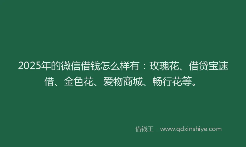 2025年的微信借钱怎么样有：玫瑰花、借贷宝速借、金色花、爱物商城、畅行花等。