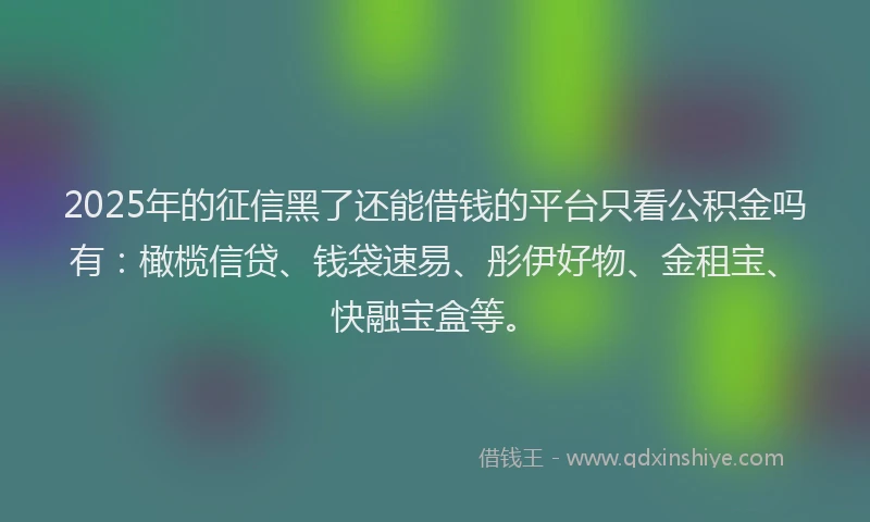 2025年的征信黑了还能借钱的平台只看公积金吗有：橄榄信贷、钱袋速易、彤伊好物、金租宝、快融宝盒等。