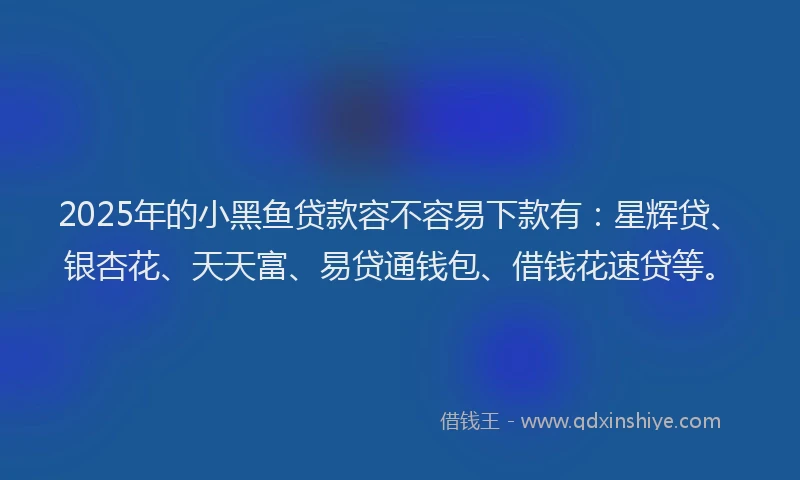 2025年的小黑鱼贷款容不容易下款有：星辉贷、银杏花、天天富、易贷通钱包、借钱花速贷等。