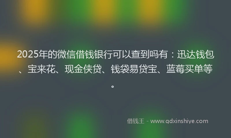 2025年的微信借钱银行可以查到吗有：迅达钱包、宝来花、现金侠贷、钱袋易贷宝、蓝莓买单等。