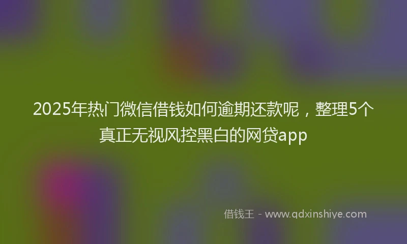 2025年热门微信借钱如何逾期还款呢，整理5个真正无视风控黑白的网贷app
